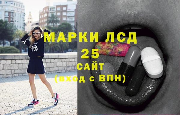 спайс Бикин
