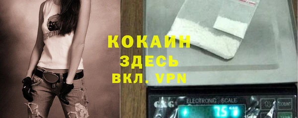 ешки Аркадак