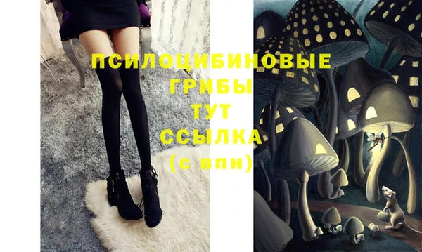 синтетический гашиш Арсеньев