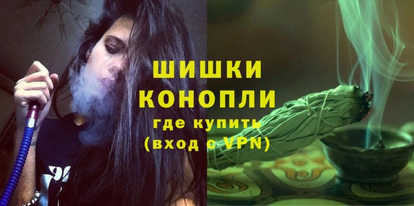 ПСИЛОЦИБИНОВЫЕ ГРИБЫ Коряжма