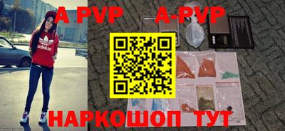 спиды Гатчина