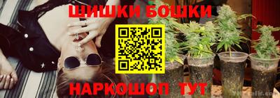 шишки Гагарин