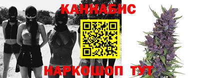 шишки Гагарин