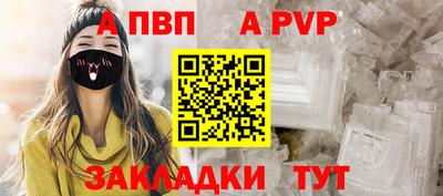 спиды Гатчина