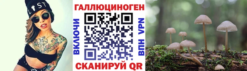 Галлюциногенные грибы прущие грибы  Дивногорск 