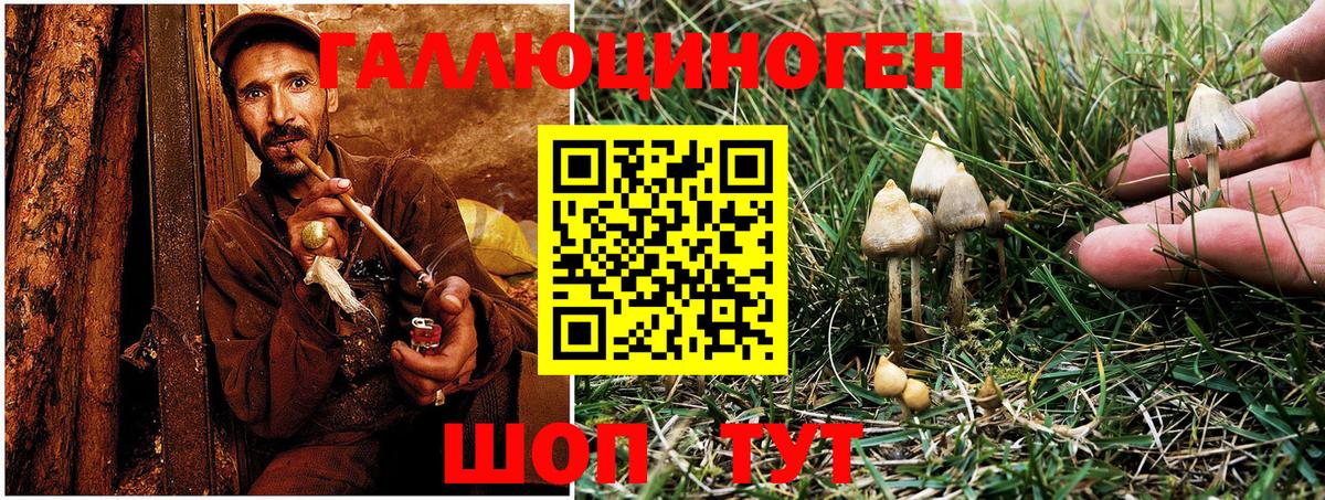 Галлюциногенные грибы Magic Shrooms Дивногорск