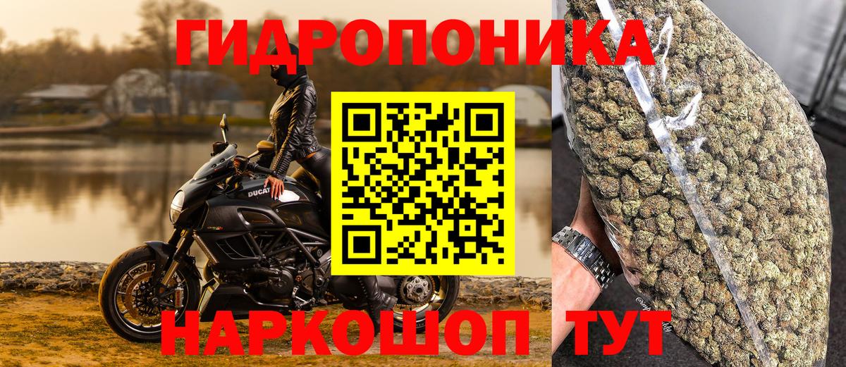 Канабис Bruce Banner  Вход с VPN  МАРИХУАНА VHQ  Бошки марихуана Bruce Banner  Дивногорск  Каннабис White Widow 